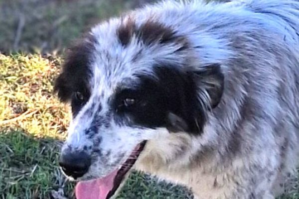 20250310_silvana_beitrag