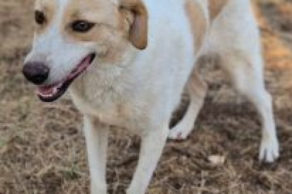 20250729_freya_fleur_1start