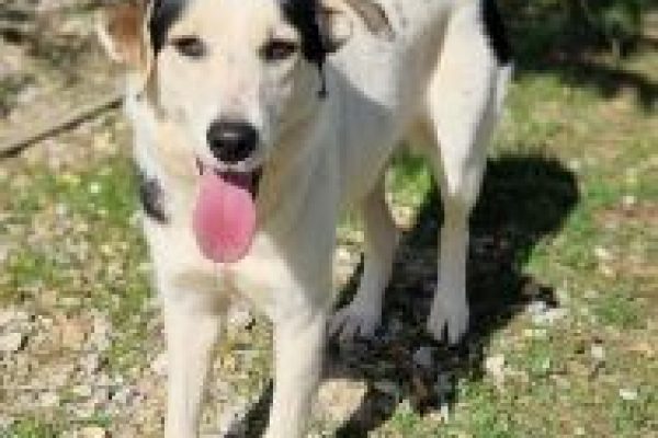 20251107_mandy_1start