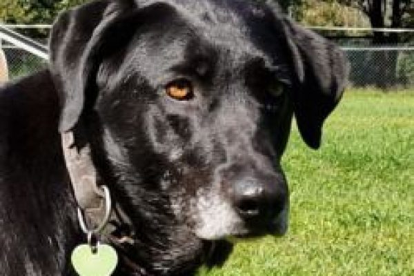 20251114_lotte bohème_beitrag