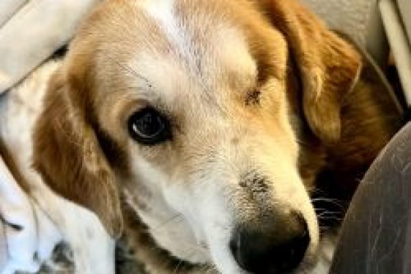 20251123_miss sunny_beitrag